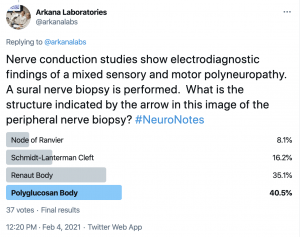 neuro notes poll, renaut body
