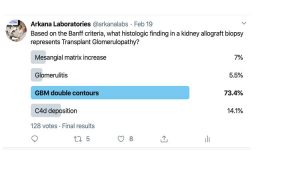 Twitter Poll, Oxford IgAN Classification