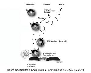 Pathology, pathology graph, arkana laboratories