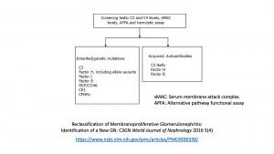 C3 Glomerulonephritis