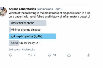 IgA Nephropathy in IBD Patients