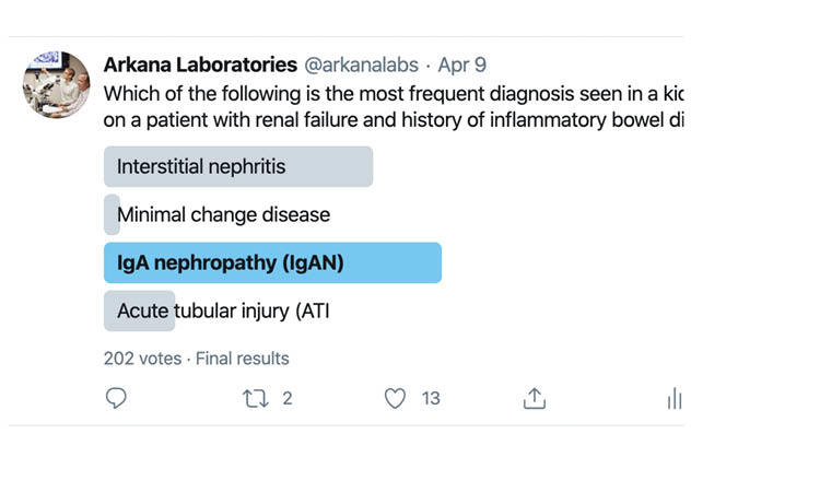 IgA Nephropathy in IBD Patients
