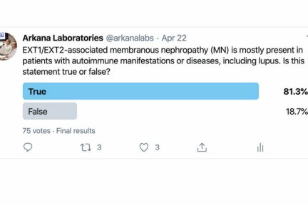 Twitter Poll results for EXT1/EXT2