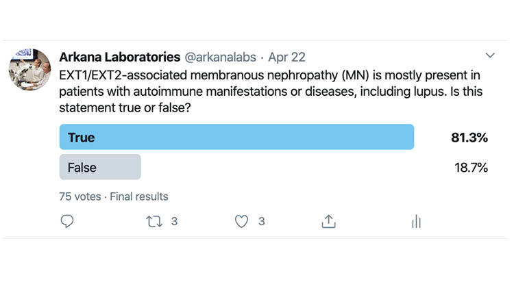 Twitter Poll results for EXT1/EXT2