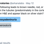 Twitter Poll (May 13, 2021)