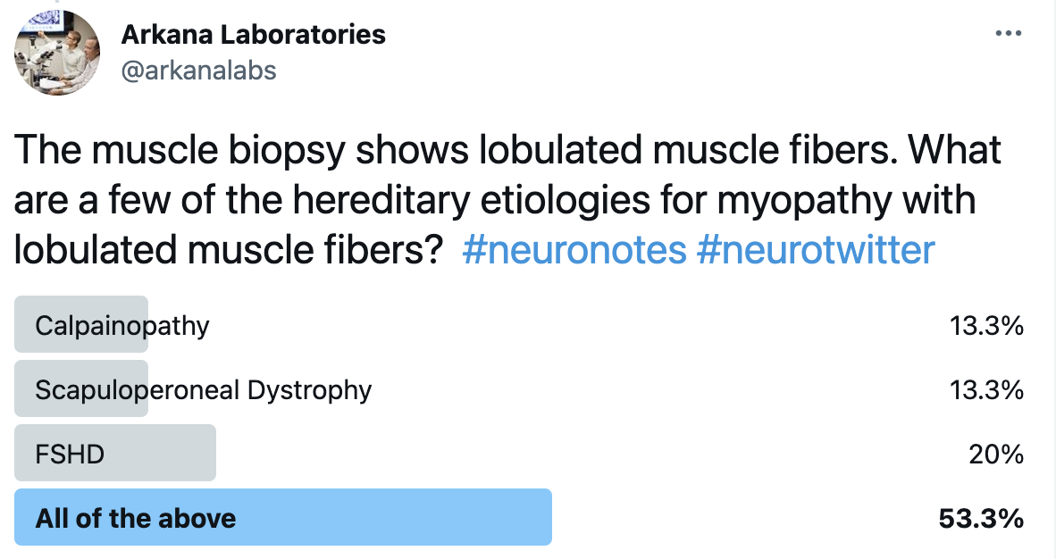 Lobulated Muscle Fibers