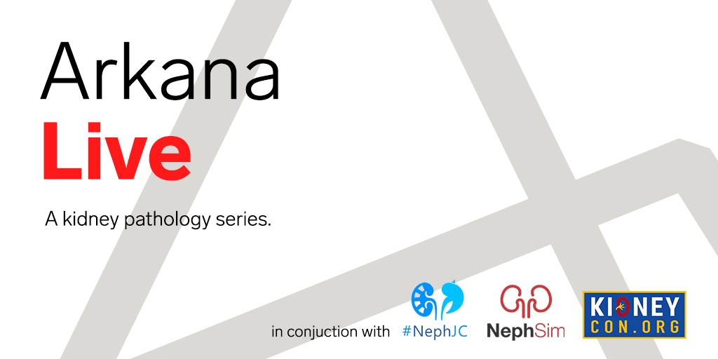 february, Renal Intratubular Casts, january, december, Endocarditis-Related Glomerulonephritis, Infection-Related Glomerulonephritis, Light Microscopy, august, FSGS, september, october, July, Arkana Live, arkana laboratories