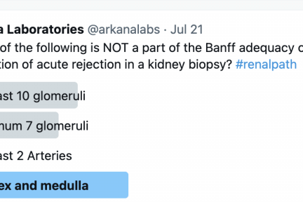 Cortex and Medulla, Banff criteria, renal transplant Banff classifications