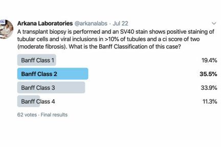Polyomavirus Nephropathy, Banff Class 3, Twitter Poll, Arkana Laboratories