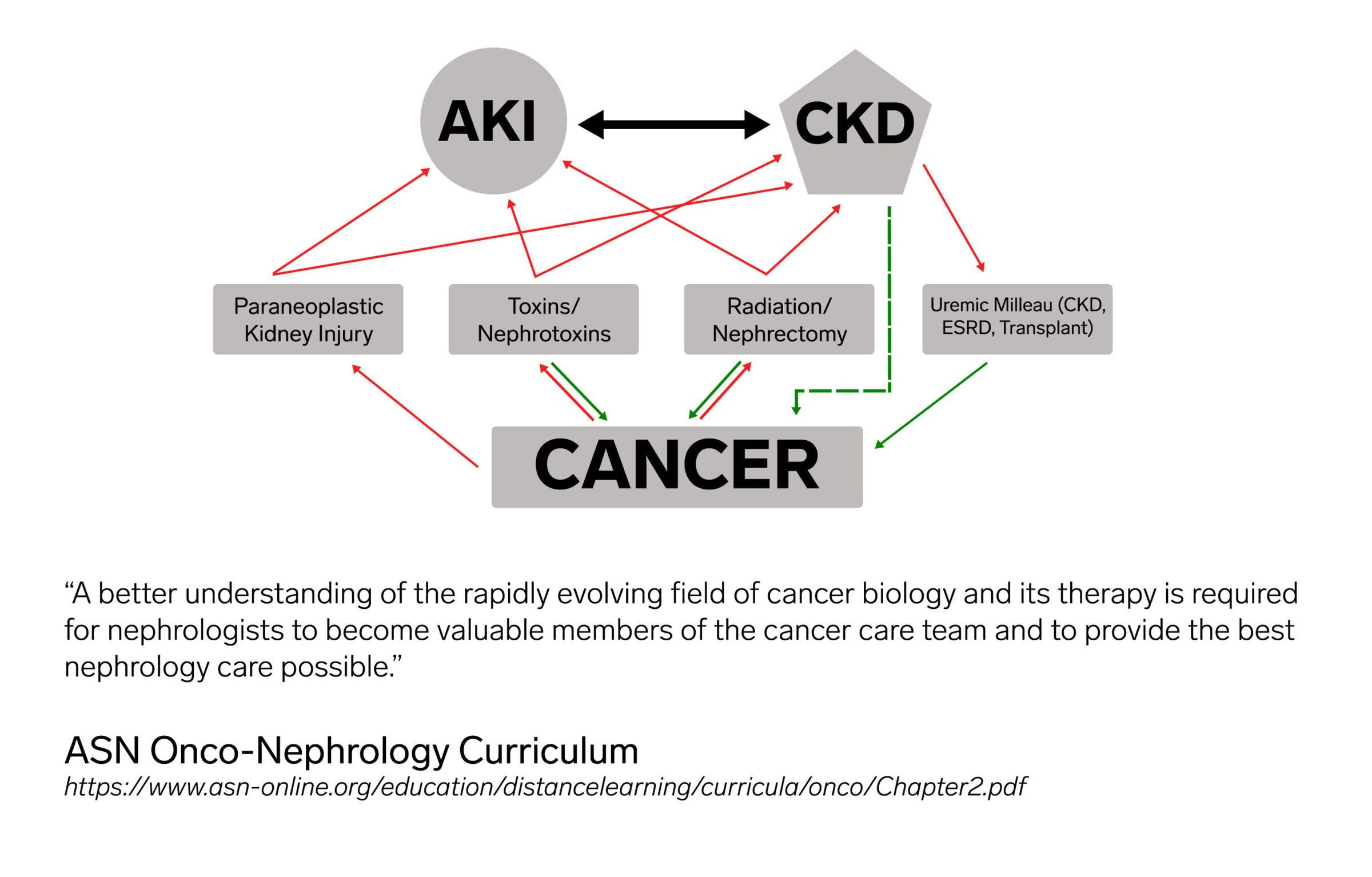 onco-nephrology, nephropathology research, cancer