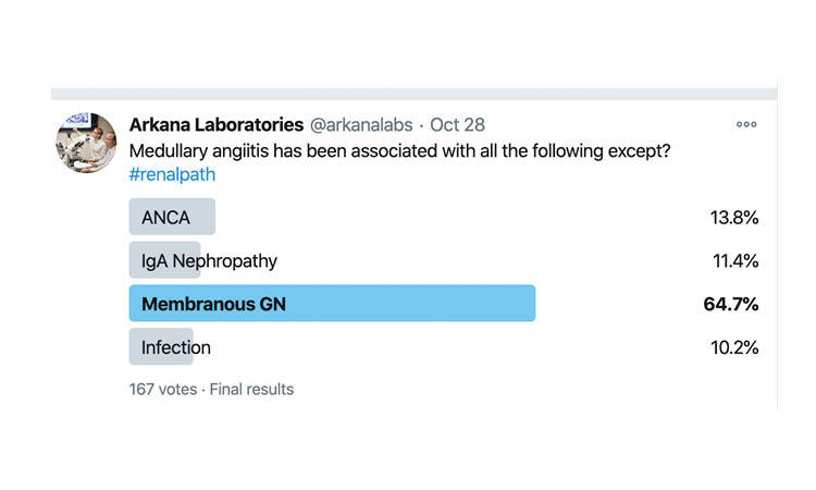 Medullary angiitis, renal pathology, kidney disease, arkana laboratories