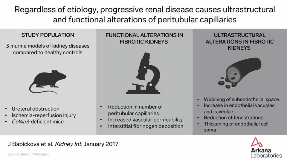 arkana laboratories, arkana journal club, kidney pathology, nephrology