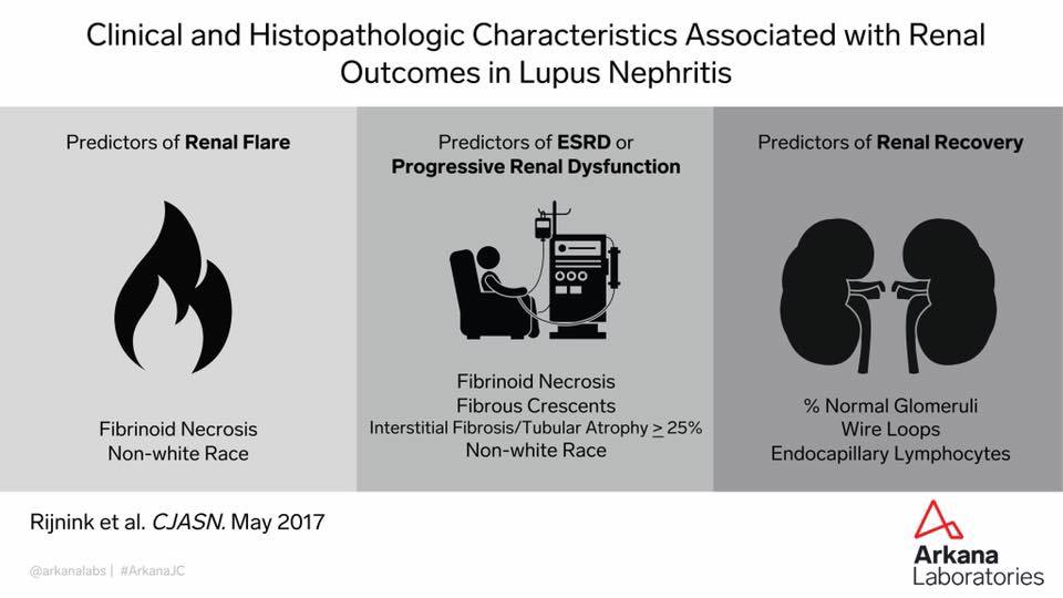 arkana laboratories, arkana journal club, kidney pathology, nephrology