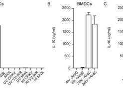 Cowpox virus induces higher amounts of IL-10 in cultured cells than vaccinia viruses WR or MVA