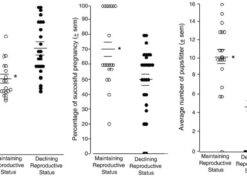 Cyclicity, fertility, and fecundity