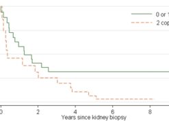 Age-adjusted renal survival by number of APOL1 risk alleles