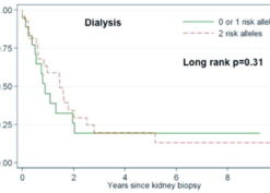 Kaplan–Meier estimate of renal survival in two groups of study patients