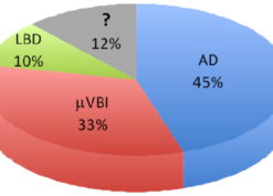 Pie chart of the population-attributable risk for dementia in the ACT cohort