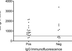 association between presence (Pos) or absence (Neg) of immunofluorescence (IF) for IgG and serum Gd-IgA1 level