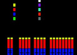 Domain structure and oligomeric forms of meprins
