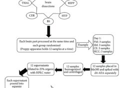 Flowchart of experimental design and lipidomic methodology