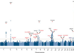 Manhattan plot of stage 1 for genome-wide association with Alzheimer’s disease