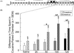 Time-course schematic of conditioned place preference (CPP) experiment