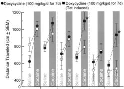 Induction of human immunodeficiency virus 1 (HIV-1) Tat potentiated the duration of cocaine-induced locomotor activity