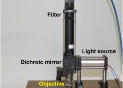 Custom epi-fluorescence microscopy system