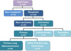 Study cohort of consecutive computed tomography–guided lung biopsies, including 134 cases with neoplasms