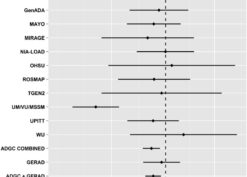 Mendelian randomization estimates of the association of systolic blood pressure with AD in individual ADGC studies and overall in ADGC, GERAD1, and IGAP