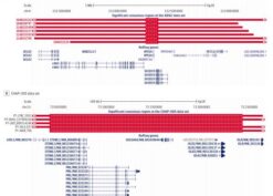 Significant Results Obtained by Analyses of Consensus Regions