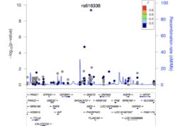 Association plots of PLCG2, ABI3, and TREM2