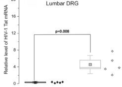 Relative HIV-1 Tat mRNA expression in skin, DRG, and spinal cord of mice