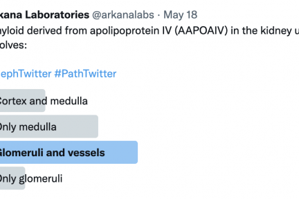 apolipoprotein IV (AAPOAIV) in the kidney