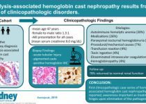 Hemolysis-associated hemoglobin cast nephropathy results
