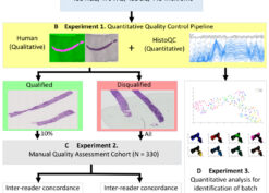 nephrotic syndrome study network digital pathology repository