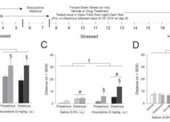 HIV-1 Tat Protein Promotes Neuroendocrine Dysfunction
