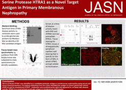 Serine Protease HTRA1 as a Novel Target Antigen in Primary Membranous Nephropathy