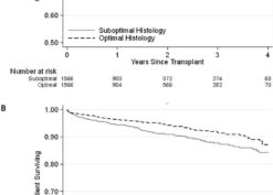 Unadjusted Kaplan-Meier curves of death-censored graft survival and patient survival based on transplantation