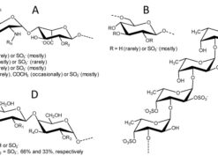 Structural representation of unfractionated heparin