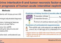 Urine interleukin-9