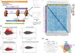 Description of samples with DGF and IGF occurrence selected for RNAseq
