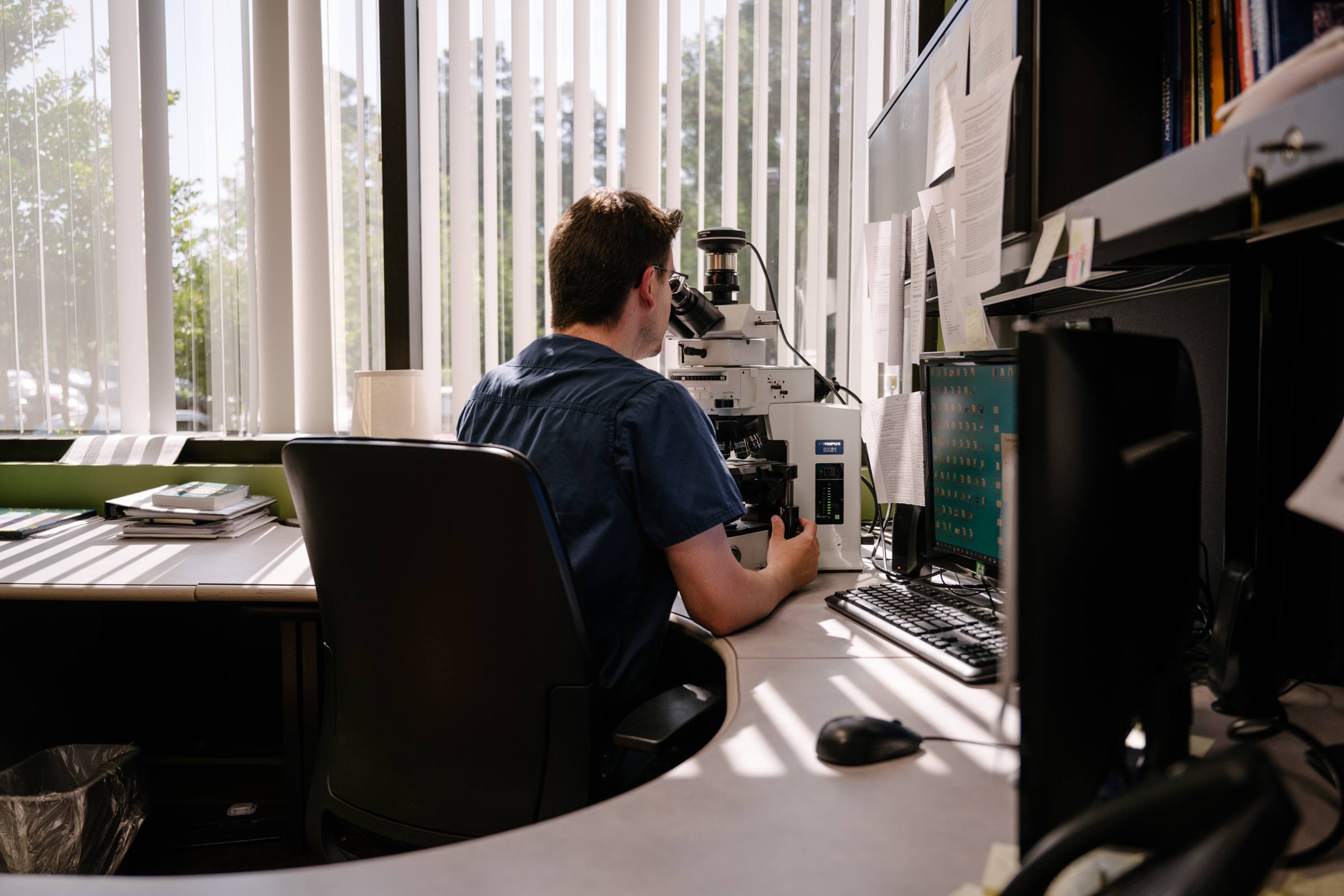 arkana laboratories physician looking at biopsy under microscope at arkana laboratories