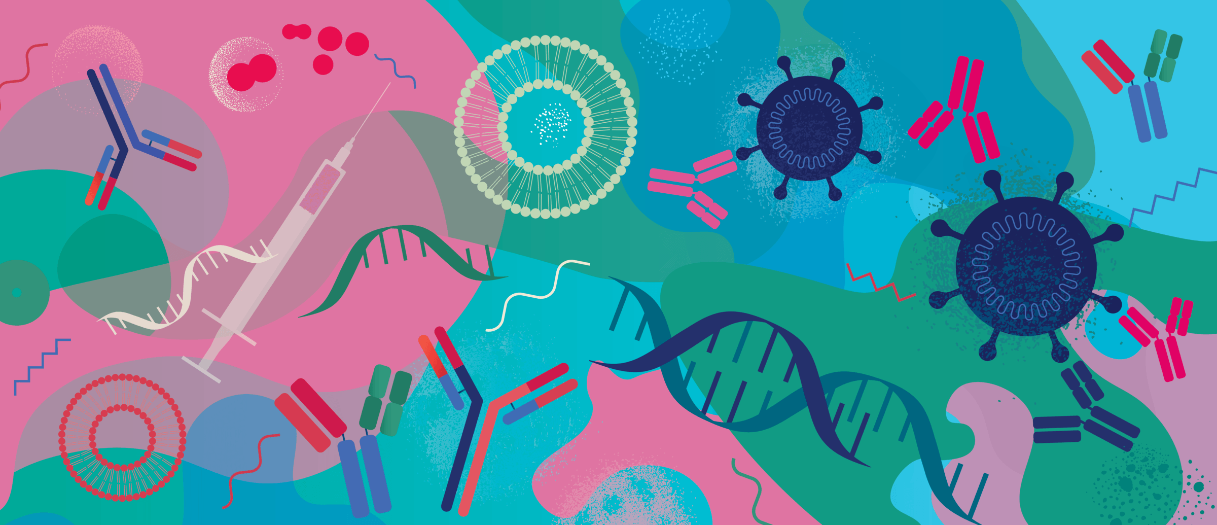 illustration to represent patient information sheet a guide to kidney biopsy