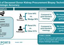 Impact of Deceased Donor Kidney Procurement Biopsy Technique on Histologic Accuracy
