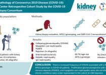 abstract for A multi-center retrospective cohort study defines the spectrum of kidney pathology in Coronavirus 2019 Disease (COVID-19) publication