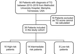 Flow chart of patient selection. TG, transplant glomerulopathy.