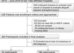 STARD flow diagram of participant enrollment.