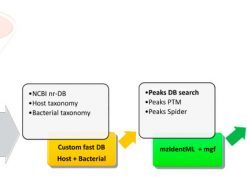 The metaproteomics data-analysis shows the software tools used to arrive at the identified proteins list